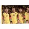 Team Photo 1 Sweden 428 Panini Uefa Euro 2012 Poland Ukraine