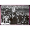 Euro 1964 Spain 516 Panini Uefa Euro 2012 Poland Ukraine