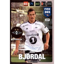 Johan Lædre Bjørdal Rosenborg B.K. 229