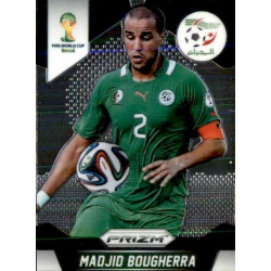 Madjid Bougherra Algeria 2