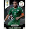 Venta Cromo de Madjid Bougherra Algeria Panini Prizm World Cup 2014