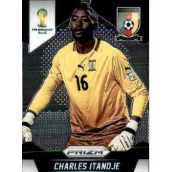 Charles Itandje Cameroon 36