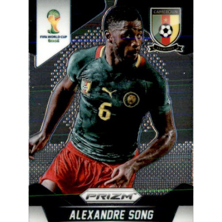 Alexandre Song Cameroon 38