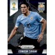 Edinson Cavani Uruguay 193