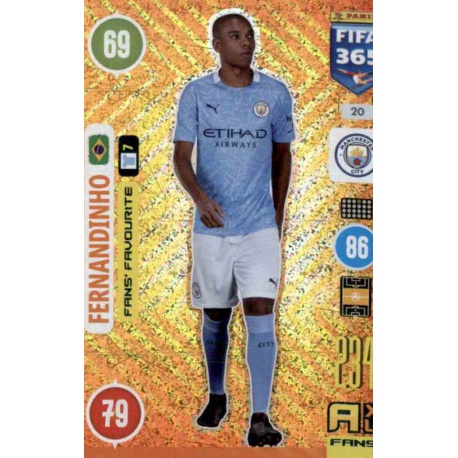 Fernandinho Fans Favourites 20