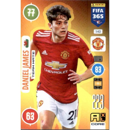 Daniel James Manchester United 142