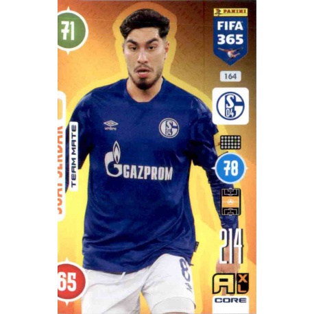 Suat Serdar FC Schalke 04 164