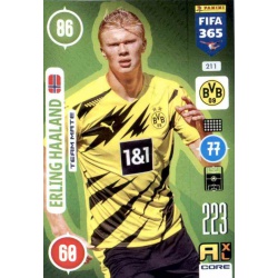 Erling Haaland Borussia Dortmund 211