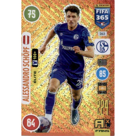 Alessandro Schöpf Elite FC Schalke 04 263