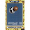 Buy Card 1962 Chile FIFA World Cup History Adrenalyn Fifa 365 2021