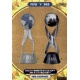 FIFA U-17 Women's - FIFA U-17 FIFA Trophies 395