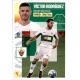 Víctor Rodríguez Elche 11
