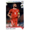 Big Offer Ashley Williams Panini Road To Uefa Euro 2020