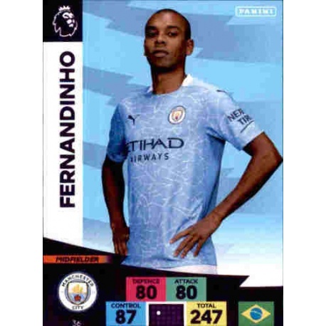 Fernandinho Manchester City 36
