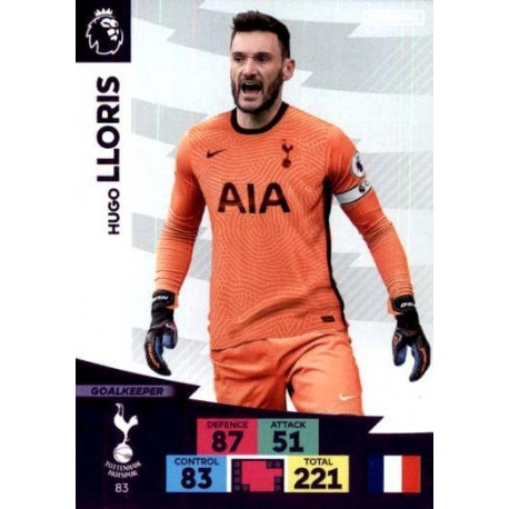 Hugo Lloris Tottenham Hotspur 83