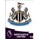 Club Badge Newcastle United 154