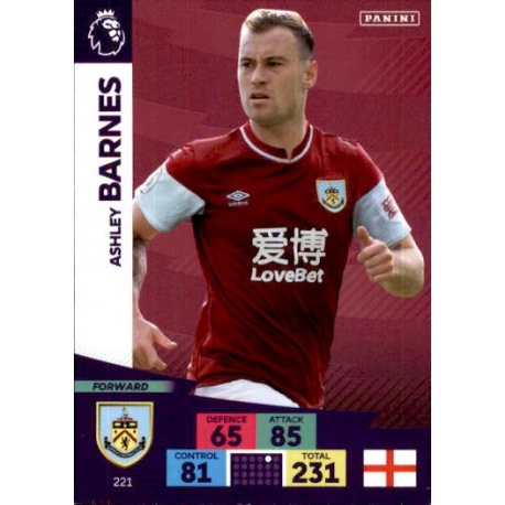 Ashley Barnes Burnley 221