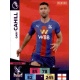 Gary Cahill Crystal Palace 246
