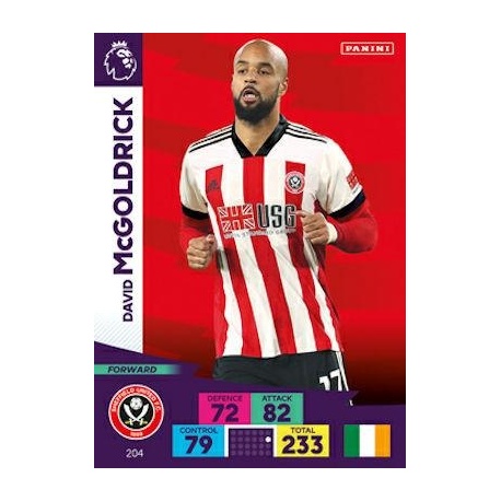 David McGoldrick Sheffield United 204