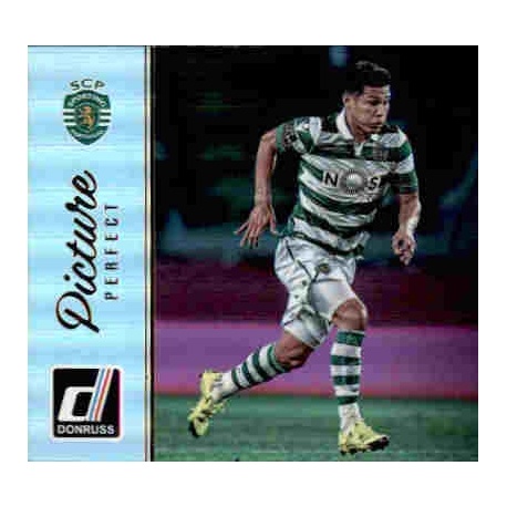 Teo Gutierrez Picture Perfect Holographic