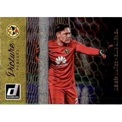 Moises Munoz Picture Perfect Gold