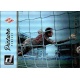 Artyom Rebrov Picture Perfect Holographic