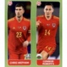Venta Online Card Mepham - Roberts Wales Panini Uefa Euro 2020 Tournament Edition