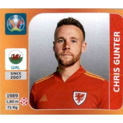Chris Gunter Wales 102
