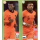 Wijnaldum - Bergwijn Netherlands 266