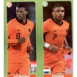 Wijnaldum - Bergwijn Netherlands 266