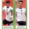 Offer Sticker Mount - Rice England Panini Euro 2020 Stickers