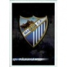 Trading Cards Escudo Málaga Las Fichas de La Liga 2015