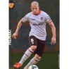 Oferta Cromos Feghouli Top Brillo Liso Puntas Redondas Las Fichas Quiz Liga 2015