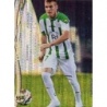 Trading Cards Gunino Top Security Puntas Redondas Mundicromo Fichas Liga 2015