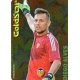 Diego Alves Gold Star Brillo Liso Valencia 33