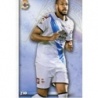 Sale Trading Cards Sidnei Deportivo UH I Platinum Mundicromo Quiz Platinum 2015