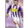 Trading Cards Guille Andrés Valladolid UH III Platinum Mundicromo Platinum Fichas Liga 2015
