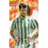Sale Trading Cards Dídac Betis Top Rojo Mate Mundicromo Fichas Liga 2014