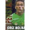 Sale Trading Cards Jorge Molina Betis Superstar Brillo Liso Mundicromo Quiz 2014