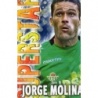 Sale Trading Cards Jorge Molina Betis Superstar Mate Relieve Las Fichas de La Liga 2014
