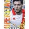 Trading Cards Galeano Rayo Vallecano Superstar Mate Relieve Mundicromo Quiz 2014