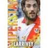 Sale Trading Cards Larrivey Rayo Vallecano Superstar Mate Relieve Mundicromo Fichas Liga 2014