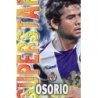 Sale Trading Cards Osorio Valladolid Superstar Mate Relieve Mundicromo Fichas Liga 2014