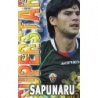 Trading Cards Sapunaru Elche Superstar Mate Relieve Mundicromo Quiz 2014
