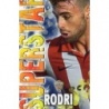 Soccer Trading Cards Rodri Almeria Superstar Mate Relieve Mundicromo Fichas Liga 2014