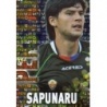 Trading Cards Sapunaru Elche Superstar Brillo Letras Las Fichas Quiz Liga 2014