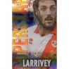 Trading Cards Larrivey Rayo Vallecano Superstar Rayas Horizontales Las Fichas de La Liga 2014
