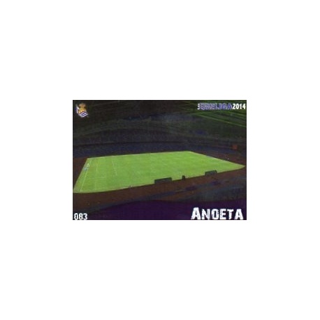 Anoeta Real Sociedad Estadio Brillo Liso 83
