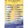 Trading Cards Índice Mallorca Mundicromo Fichas Liga 2014
