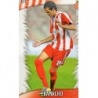 Trading Cards Ramalho Girona Fichas Liga Platinum 2014